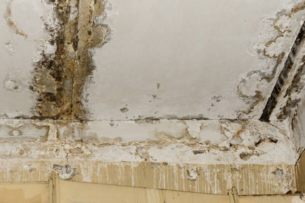 Best Residential Mold Inspection & Testing  in Hydro, OK